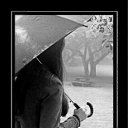 ���� �����, ����� - ��������� 23 ������ 2011 � ������ ���� �������