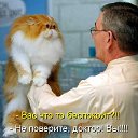 ���� ����, ������, 36 ��� - ��������� 27 ������ 2010 � ������ ������ � ������������