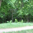 ���� ������, ������ ����, 48 ��� - ��������� 6 ������ 2011 � ������ ���� ����������