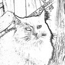 ���� Fedir, ������, 55 ��� - ��������� 3 ������ 2011 � ������ ���� ����������