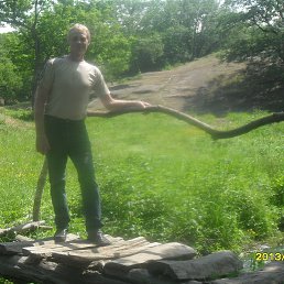 ���� ������, ��������, 68 ��� - ��������� 18 ��� 2013