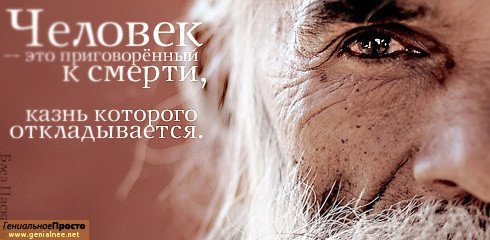 ���� �����4��, ��������, 37 ��� - ��������� 29 ����� 2010