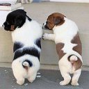 ���� �������, ���������, 42 ���� - ��������� 5 �������� 2012 � ������ �������