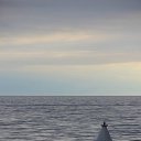 ���� ����, ������, 31 ��� - ��������� 29 ������ 2011