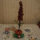 ���� �����������, �����-���������, 52 ���� - ��������� 6 ����� 2011 � ������ ���� ������ ��� ������� ����