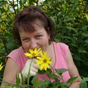 ���� ������, ���������, 42 ���� - ��������� 23 ���� 2012 � ������ ���� ����������