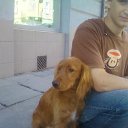 ���� �������, ����� - ��������� 1 �������� 2012 � ������ ���� ����������