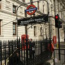 �������� (�����) Westmister �� ������� ������� �� ������