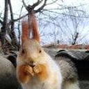 ���� ����, ����������� - ��������� 17 ������ 2012 � ������ �PetLove�