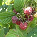 ���� �������, ��������� - ��������� 16 ������� 2012 � ������ ����� ��������