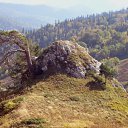 ���� Mark, ������, 50 ��� - ��������� 3 �������� 2010 � ������ ����� ��������� �������