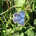 ���� �����, ��������, 45 ��� - ��������� 3 ������� 2010 � ������ ����� �������