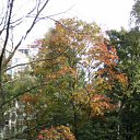 ���� ���������, �����-��������� - ��������� 10 ������ 2009 � ������ �������� ����...�