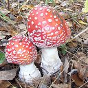  ,  -  22  2012   * ..*