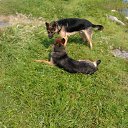 ���� ����, ���������, 55 ��� - ��������� 18 ������� 2011 � ������ ���� ����������