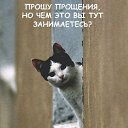 ���� �����������, ������, 24 ���� - ��������� 13 ���� 2010 � ������ �������