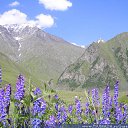 ���� ���������, ������, 66 ��� - ��������� 23 ������ 2012