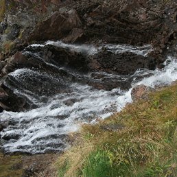 ���� ��������, ��������, 41 ��� - ��������� 6 ������� 2011