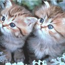 ���� �����, ������, 26 ��� - ��������� 25 ���� 2010 � ������ ���������