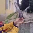 ���� �������, ������� �������� - ��������� 27 ������ 2012