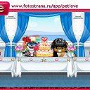  , -, 41  -  19  2011   PetLove