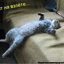 ���� ˸��, ����, 44 ���� - ��������� 26 ���� 2012 � ������ ������