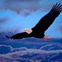 ���� Tetti_��� ���� ������(((, ����, 36 ��� - ��������� 2 ���� 2009 � ������ �������