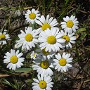 ���� ����, �������� ������ - ��������� 8 �������� 2010 � ������ ������� ��������....�