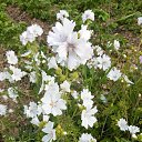 ����� ����... �� ������� ����λ