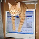 ���� ������, ��������������, 25 ��� - ��������� 12 ����� 2011 � ������ ������