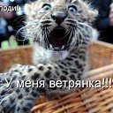 ���� �����, ����������� - ��������� 3 ������ 2010 � ������ �������