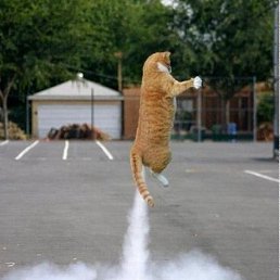 ���� �������, ����������, 42 ���� - ��������� 5 ���� 2013