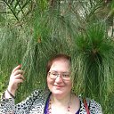 ���� ����, �����-���������, 60 ��� - ��������� 3 ������� 2010 � ������ ���� ����������