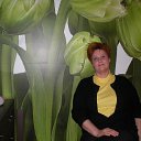 ���� �����, ������ ��������, 61 ��� - ��������� 9 ������ 2013 � ������ ���� ����������