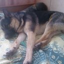���� Tatyana, ������, 38 ��� - ��������� 3 ���� 2013 � ������ ����� ��� ������������