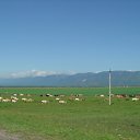 ���� ������@, ������������ - ��������� 27 ���� 2011 � ������ ������������ �� ������