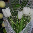 ���� ������, ���������� - ��������� 10 �������� 2011 � ������ �������