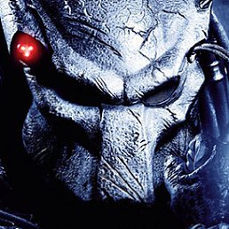 ���� ���������, ���������, 43 ���� - ��������� 15 �������� 2011