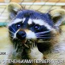  ,   -  27  2012   :3