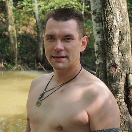 ������, ������, 46 ���