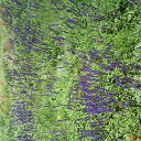 ���� ������, �����, 47 ��� - ��������� 23 ������� 2010 � ������ �PetLove�