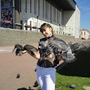 ���� ������, �����, 36 ��� - ��������� 5 ������� 2012 � ������ ���� ����������