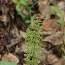 ���� ���������, ���������� - ��������� 4 ���� 2013 � ������ ���� ����������