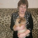 ���� ���������, �����-���������, 61 ��� - ��������� 5 ������� 2013 � ������ ���� ����������