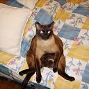 ���� Vitalik, �����-��������� - ��������� 27 ������� 2009 � ������ ���������� ������