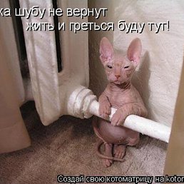 ���� �������, ���������, 53 ���� - ��������� 4 ������ 2011