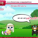  , , 51  -  12  2011   PetLove