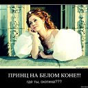 ���� ���� �������������, ���������� - ��������� 11 ������ 2013 � ������ ��������� -������