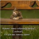 ���� �����, ������, 26 ��� - ��������� 25 ���� 2010 � ������ ���������