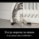 ���� �����, �������, 46 ��� - ��������� 2 ������� 2012